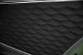 Bentley Sonstige Speed V8 Hybrid Grün - thumbnail 33