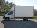 Fiat Ducato 35 Koffer mit Ladebordwand MOTOR NEU/NAV... Weiß - thumbnail 2