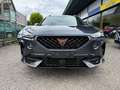 CUPRA Formentor 2.0 tdi 4drive 150cv dsg Blauw - thumbnail 34