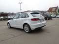 Audi A3 SB Start 1,6 TDI DPF Weiß - thumbnail 5