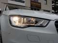 Audi A3 SB Start 1,6 TDI DPF Weiß - thumbnail 12