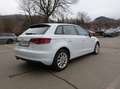 Audi A3 SB Start 1,6 TDI DPF Weiß - thumbnail 7