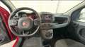 Fiat Panda Cross 1.0 FireFly S&S Hybrid Rosso - thumbnail 9