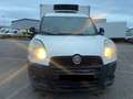 Fiat Doblo 1.6*Klima*Carrier Xarios 200*Stromanschluß Blanc - thumbnail 9