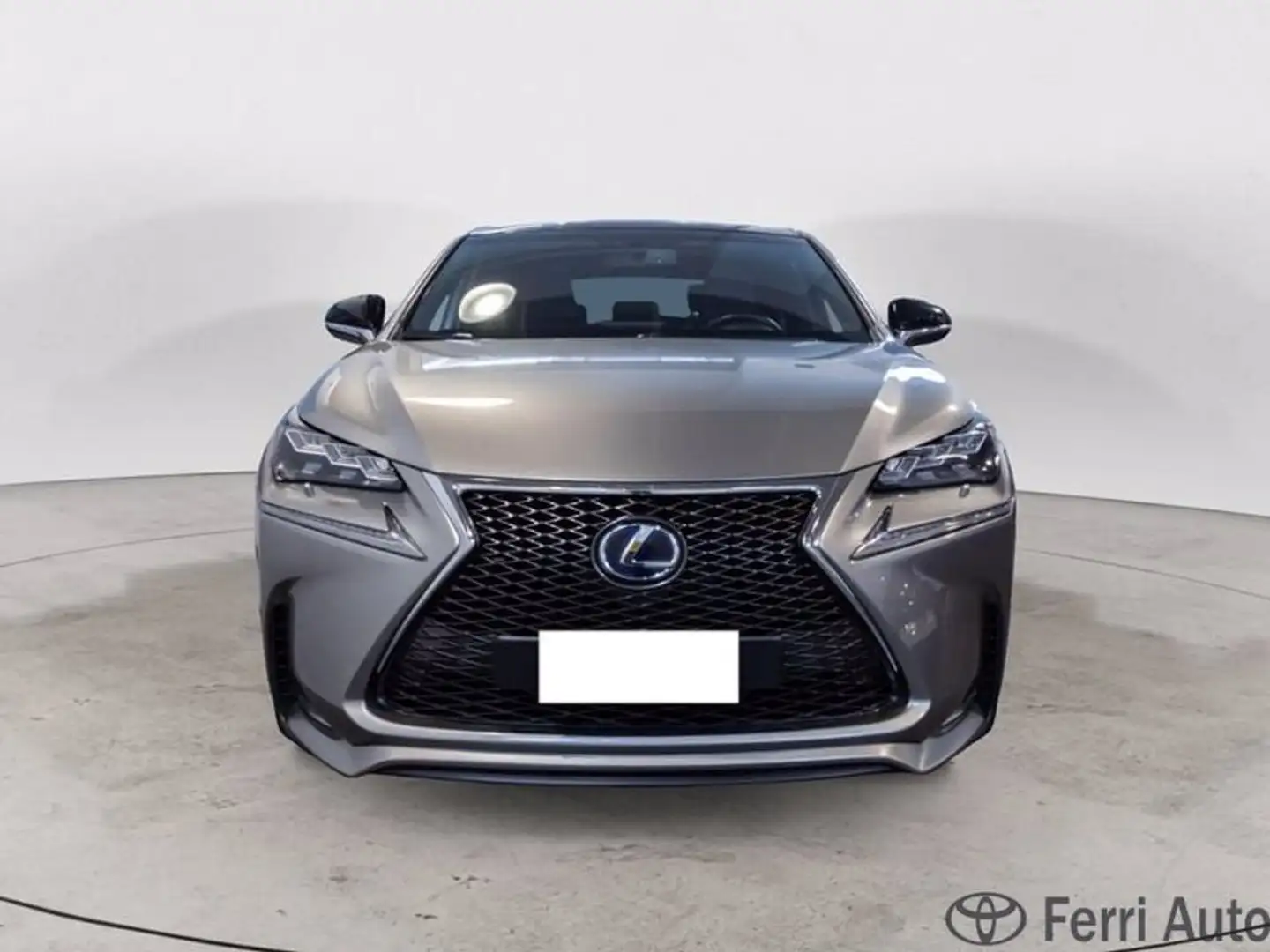 Lexus NX 300h 2.5 f-sport 4wd cvt Grey - 2