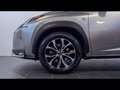 Lexus NX 300h 2.5 f-sport 4wd cvt Grey - thumbnail 3