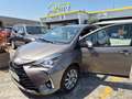 Toyota Yaris 1.5 5 porte Lounge Bronze - thumbnail 5