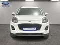 Ford Puma 1.0 EcoBoost MHEV Titanium 125 Weiß - thumbnail 8