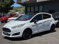 Ford Fiesta 5p 1.5 tdci Black&White 75cv - thumbnail 1