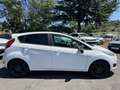 Ford Fiesta 5p 1.5 tdci Black&White 75cv - thumbnail 4