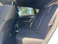 Ford Fiesta 5p 1.5 tdci Black&White 75cv - thumbnail 11
