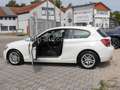 BMW 114 i Lim. 3-trg. 1.Hand/Klima/Sitzheizung/PDC Blanc - thumbnail 10