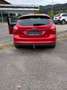 Ford Focus 1.0 EcoBoost Top Zustand - thumbnail 3