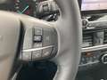 Ford Fiesta MHEV Titanium mit Winter-Paket Zwart - thumbnail 12