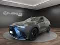 Lexus NX 450h+ NX 450h+ 2.5 phev F-Sport 4wd e-cvt Silber - thumbnail 1