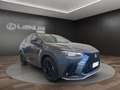 Lexus NX 450h+ NX 450h+ 2.5 phev F-Sport 4wd e-cvt Silber - thumbnail 2