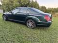 Mercedes-Benz S 350 CDI 173kW/235Ps Grün - thumbnail 2