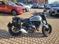 Ducati Scrambler Scrambler Grigio - thumbnail 12