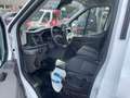 Ford Transit BENNE BASCULANTE NEUF NEUF  170 CH GPS DE STOCK Blanc - thumbnail 11