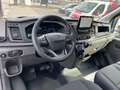 Ford Transit BENNE BASCULANTE NEUF NEUF  170 CH GPS DE STOCK Blanc - thumbnail 7