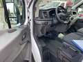 Ford Transit BENNE BASCULANTE NEUF NEUF  170 CH GPS DE STOCK Blanc - thumbnail 10