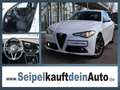 Alfa Romeo Giulia Super 2.0 Turbo*8-Gang-Automatik* Weiß - thumbnail 1
