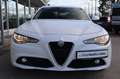 Alfa Romeo Giulia Super 2.0 Turbo*8-Gang-Automatik* Weiß - thumbnail 16