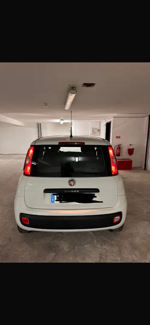 Fiat Panda 1.2 Easy 69cv - 1