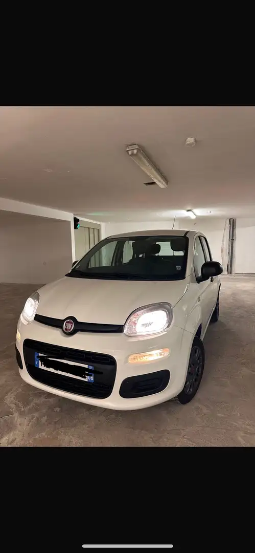 Fiat Panda 1.2 Easy 69cv - 2