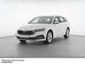 Skoda Octavia Combi Style TDI DSG LED AHK Navi Sitzhzg Weiß - thumbnail 1