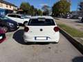 Volkswagen Polo 1.0 EVO 80CV 5p. Comfortline BMT#UNICOPROPRIETARIO Bianco - thumbnail 5