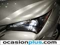 Lexus NX 300 300h Corporate 2WD + Navibox Gris - thumbnail 16