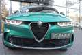 Alfa Romeo Tonale 1.3T PHEV Ti Q4 280pk WinterPack/Panoramadak/20inc Vert - thumbnail 13