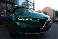 Alfa Romeo Tonale 1.3T PHEV Ti Q4 280pk WinterPack/Panoramadak/20inc Vert - thumbnail 11