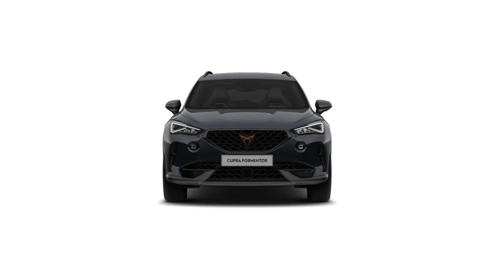 CUPRA Formentor VZ 2.0 TSI DSG 4Drive LED CARPLAY ACC Grau - 2