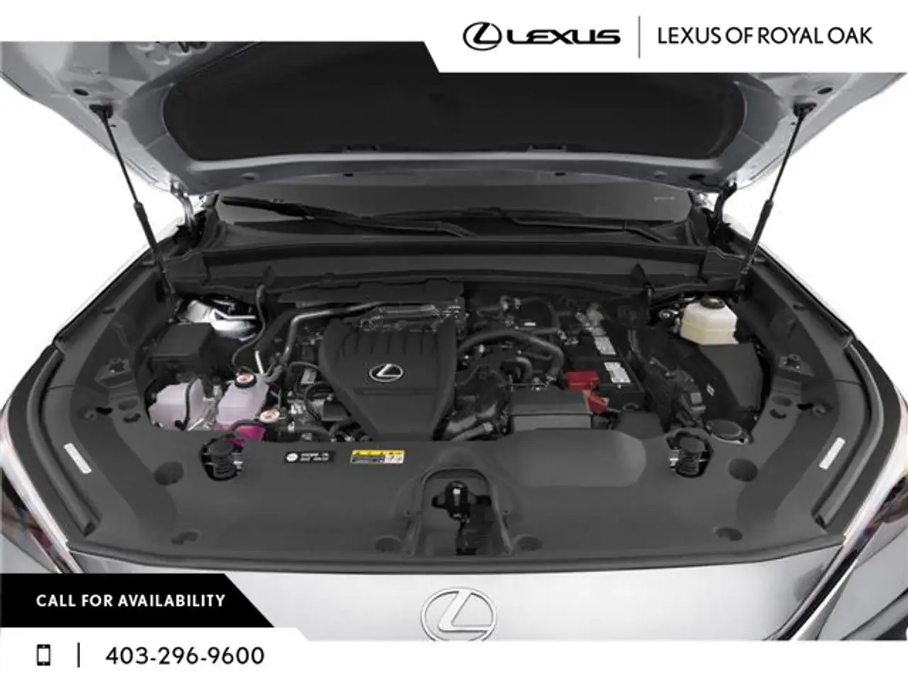 Lexus TX 350 fotografie Lexus TX 350
