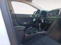 Kia Sportage 1.6 MHEV Black Edition 100kW (136CV) 4x2 Blanco - thumbnail 12