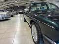 Jaguar XJ40 XJ40 6.0 V12 Grün - thumbnail 8