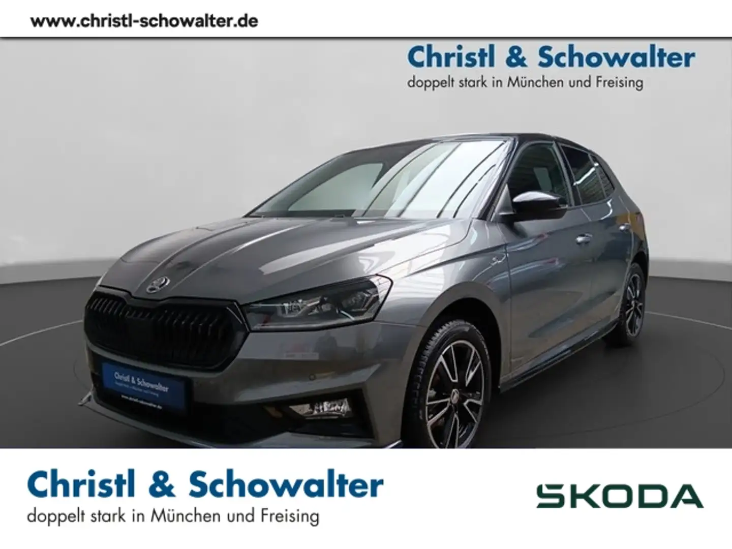 Skoda Fabia 1.0TSI Monte Carlo NAVI LED ACC LANE RFK Grau - 1