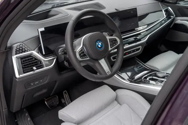 BMW X5 X5 view 12