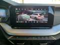Skoda Octavia 1.5 TSI 85 kW Essence Grau - thumbnail 15