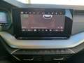 Skoda Octavia 1.5 TSI 85 kW Essence Grau - thumbnail 16