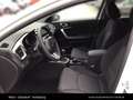 Kia Ceed SW / cee'd SW /TITAN/1.0 TGDI/MT6/100/P1 Weiß - thumbnail 17