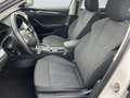 Skoda Octavia Combi 2.0 TDI First Edition Matrix ACC Weiß - thumbnail 7