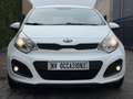 Kia Rio 1.2 CVVT Design Edition PARKEERSNR/NAP/1E EIG/118D Wit - thumbnail 24