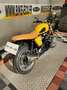 Triumph Thruxton Amarillo - thumbnail 3