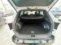 Kia Sportage 1.6 CRDi MHEV GT-line Bianco - thumbnail 14