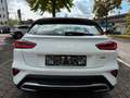 Kia XCeed Vision Plug-in Facelift|NAVI|ACC|SHZ|Kam Blanc - thumbnail 5