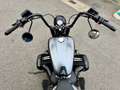 BMW R 18 Roctane Grigio - thumbnail 8