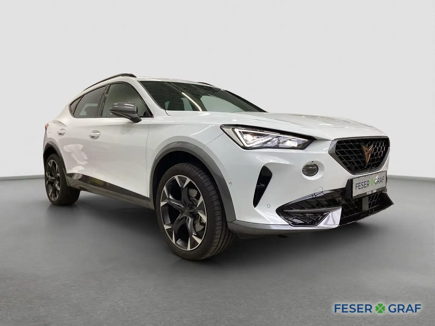 CUPRA Formentor 1.5 TSI DSG Pano RFK Beats ACC Weiß - 2